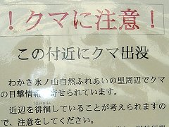����ς�R�R�������̂ˁE�E�E