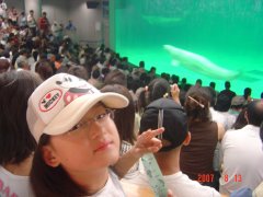 �V���C���J�̃V���[��