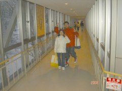 �X�J�C�E�F�C�������ł�
