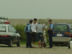 �����낤�H