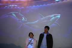 �C�b�قŉj���y���M��