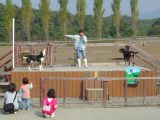 �r���G�C�b�ƂЂ�����Ԃ��Đ����I