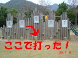 �{�̉�����o���I�I